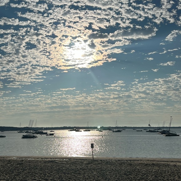 Meet your Posher, Emily - Picture 4 of 5